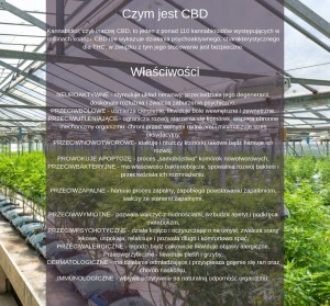 OLEJEK-CBD-Czym_jest_CBD.jpg