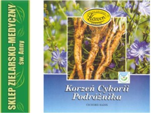 CYKORIA  Korzeń cykorii podróżnika 50g 
