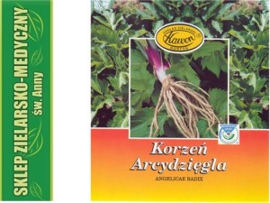 ARCYDZIĘGIEL - Korzeń arcydzięgla 50g - Zioło do zaparzania
